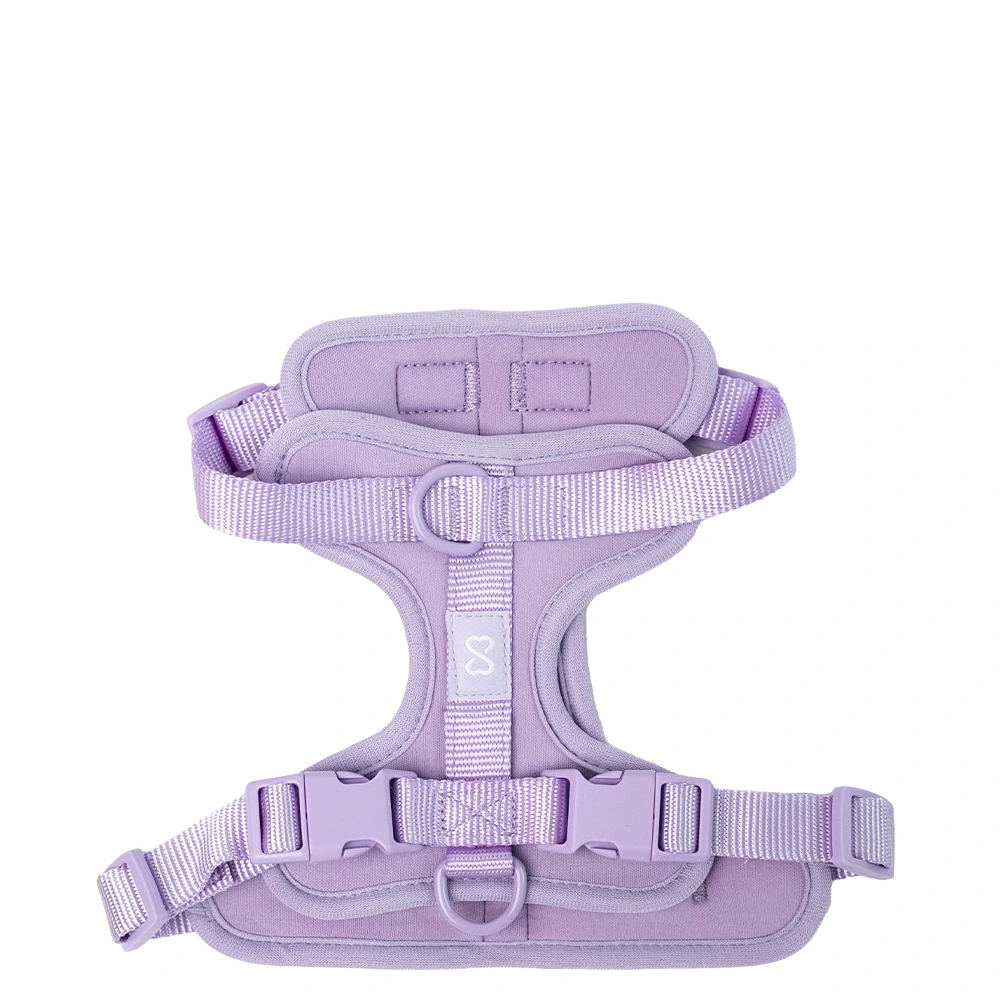 Lilac Harness Top